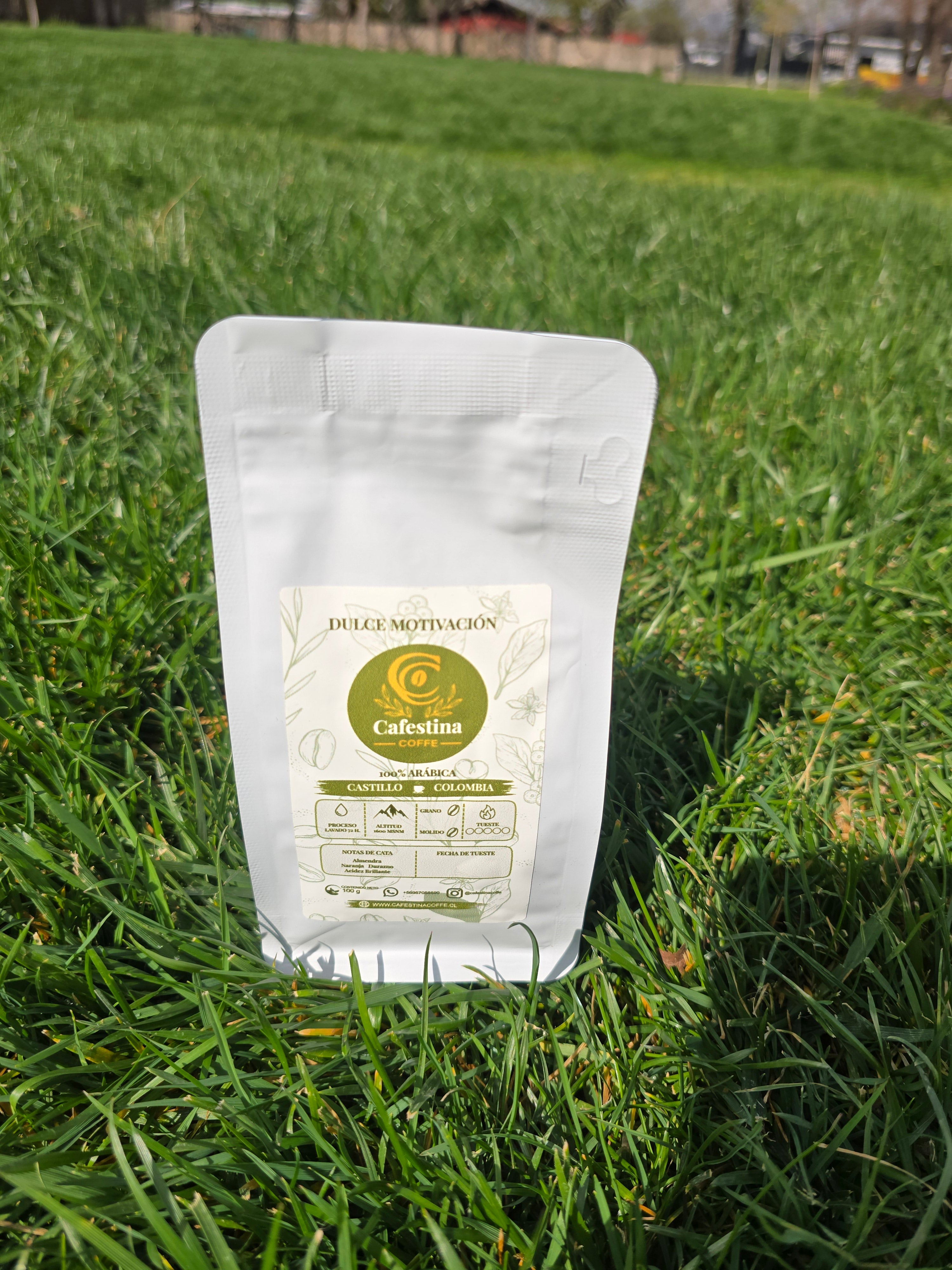 Café de especialidad variedades 300g + prensa francesa 300 ml