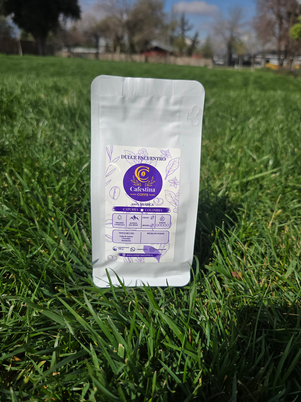 Café de especialidad variedades 300g + prensa francesa 300 ml