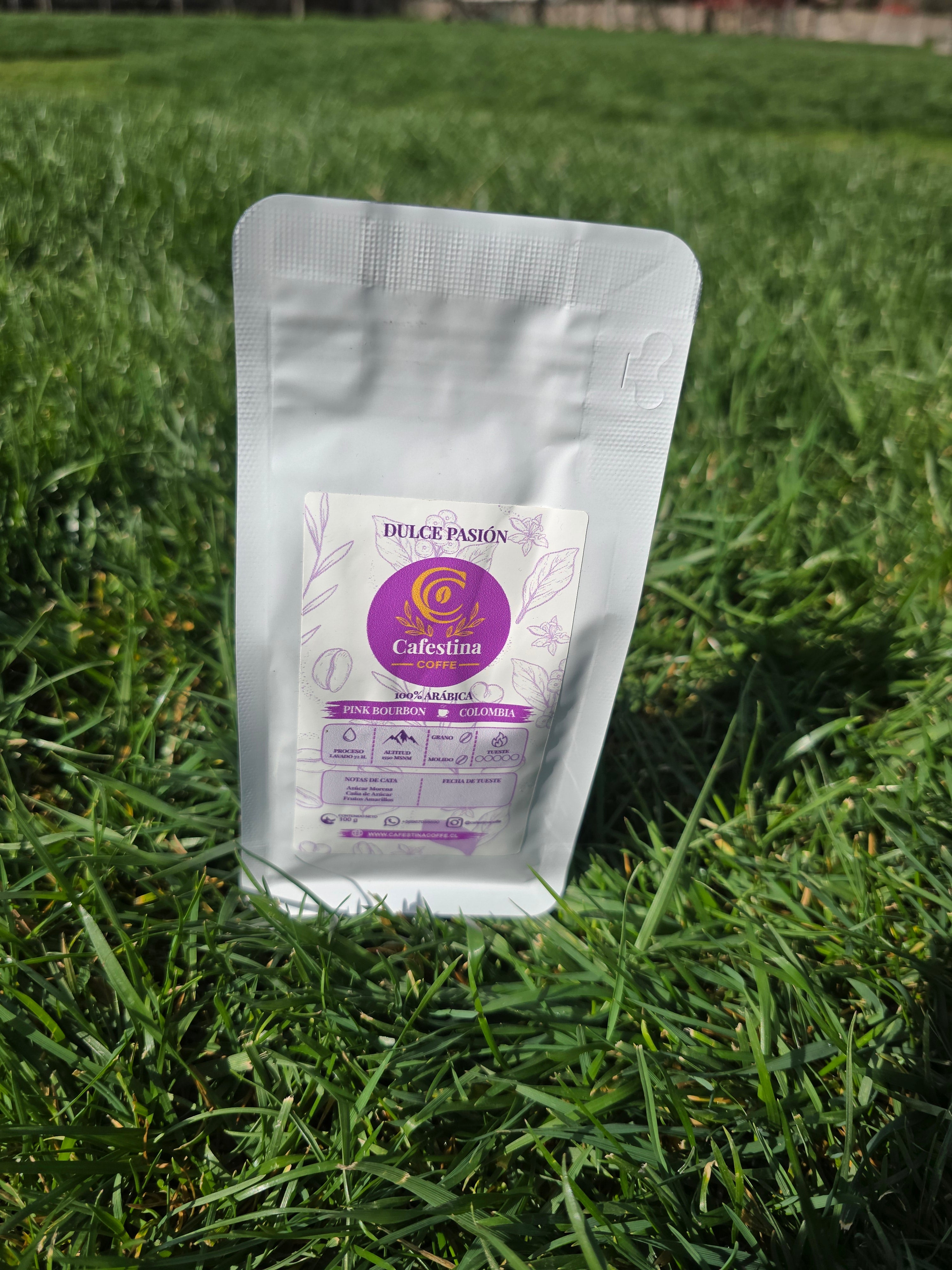 Café de especialidad variedades 300g + prensa francesa 300 ml
